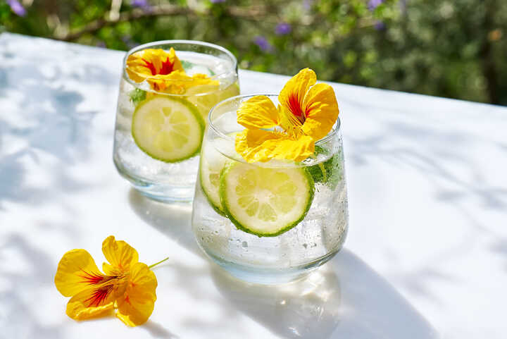 Refreshing-looking clear mocktails with slices of lime and edible flowers