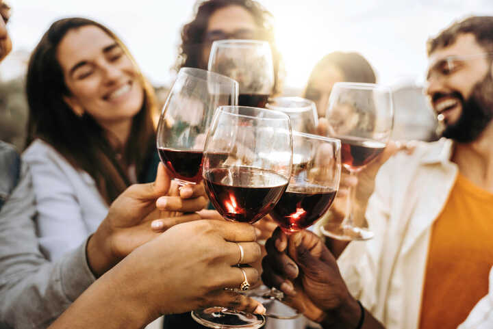 a group of friends drinking alcohol-free red wine